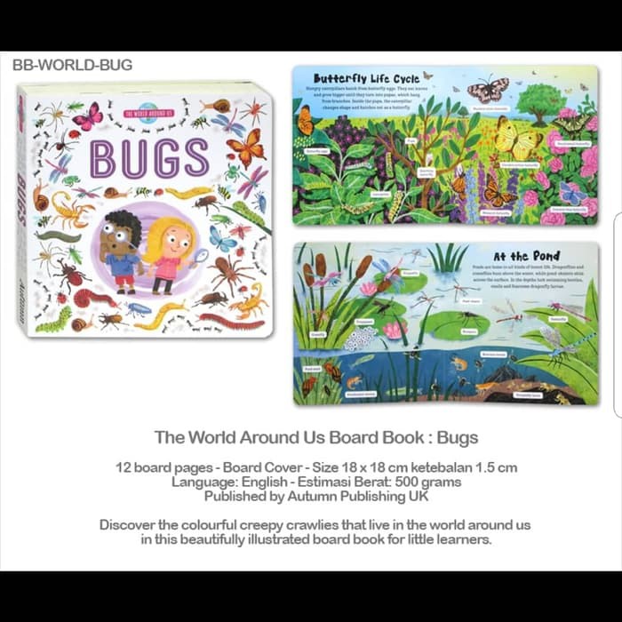 Jual Buku Anak THE WORLD AROUND US : BUGS