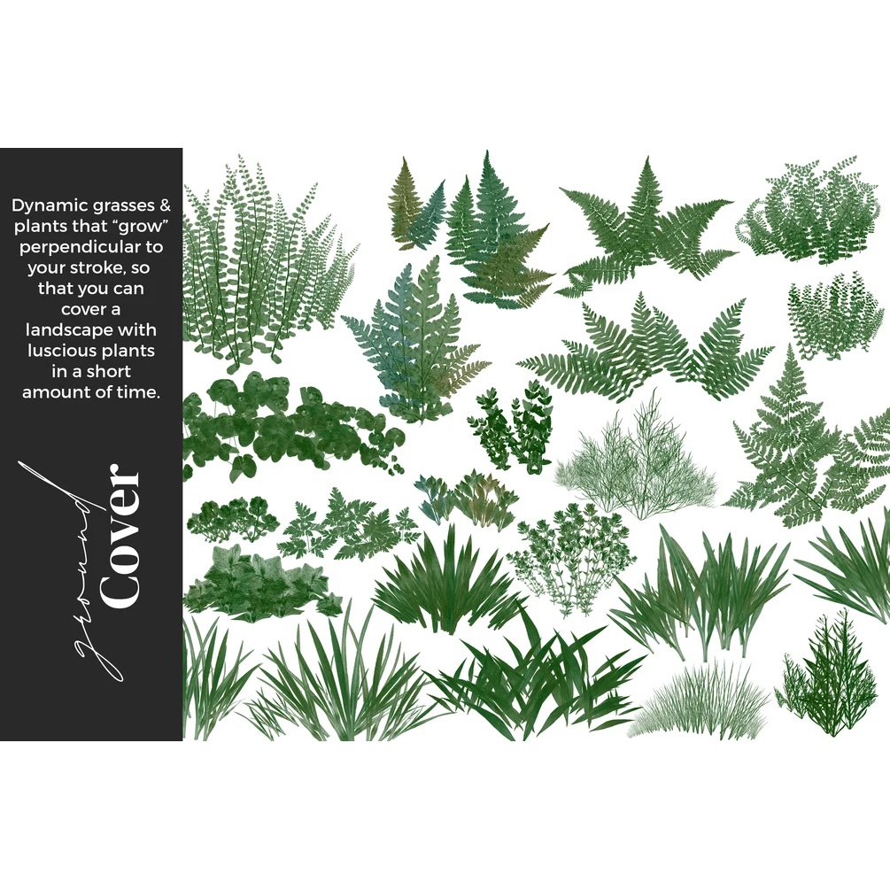 Procreate Brush - Greenery Herbarium Brushes for Procreate