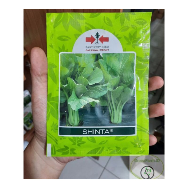 Jual Benih Sawi Manis Shinta Isi Gram Shopee Indonesia