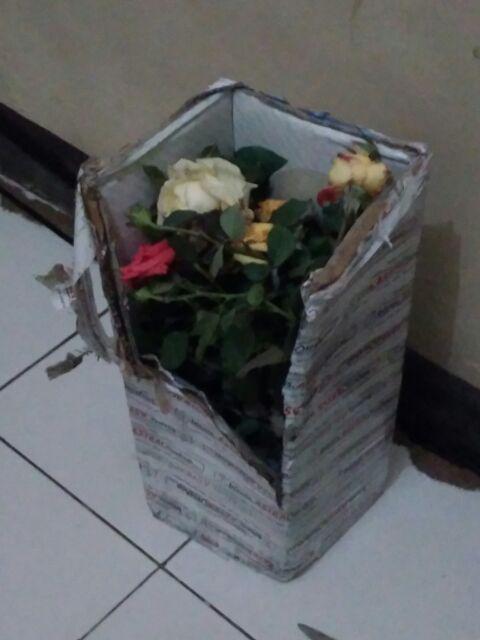 @_@ Bibit Tanaman Bunga Mawar 10 Pohon / 1 Paket Terbaik