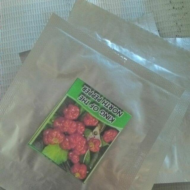 Biji Cabe king Of The North Pepper Seeds