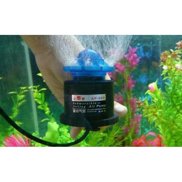 Pompa Udara Air Pump Yamano Ap 600 Aquarium Dan Aquascaping