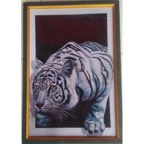 lukisan cetak 3D macan putih + bingkai 45×65CM