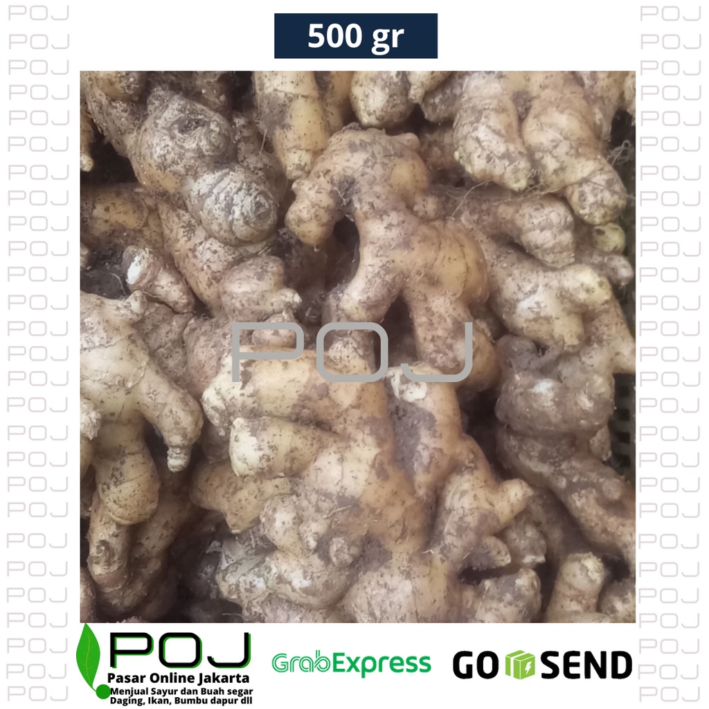

Jahe Putih✓Jahe Gajah Segar 500 gr✓Jahe Lokal✓Jahe Sayur✓Bumbu✓Rempah✓Ginger✓POJ