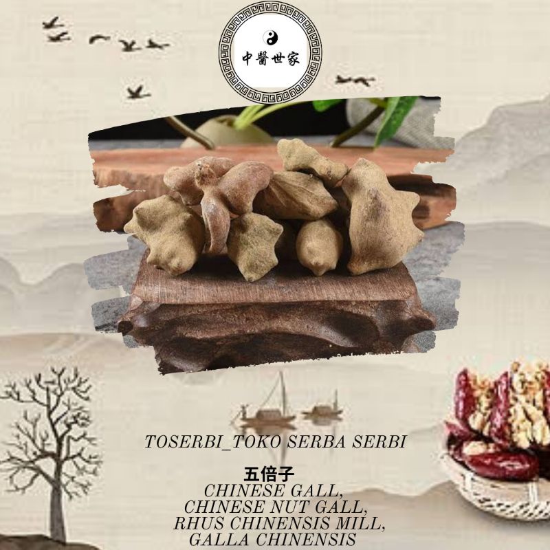 

100gr 五倍子 Wu Bei Zi Chinese Nut Gall Rhus Chinensis Mill Galla Chinensis Rhois Gall Chinese Gall