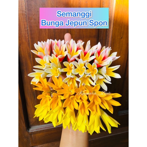 SEMANGGI JEPUN SPON REJANG RENTENG