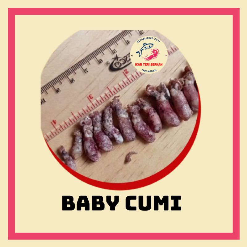 

BABY CUMI 0,5 - 2 Cm / Baby Cumi Medan / Bestseller Baby Cumi