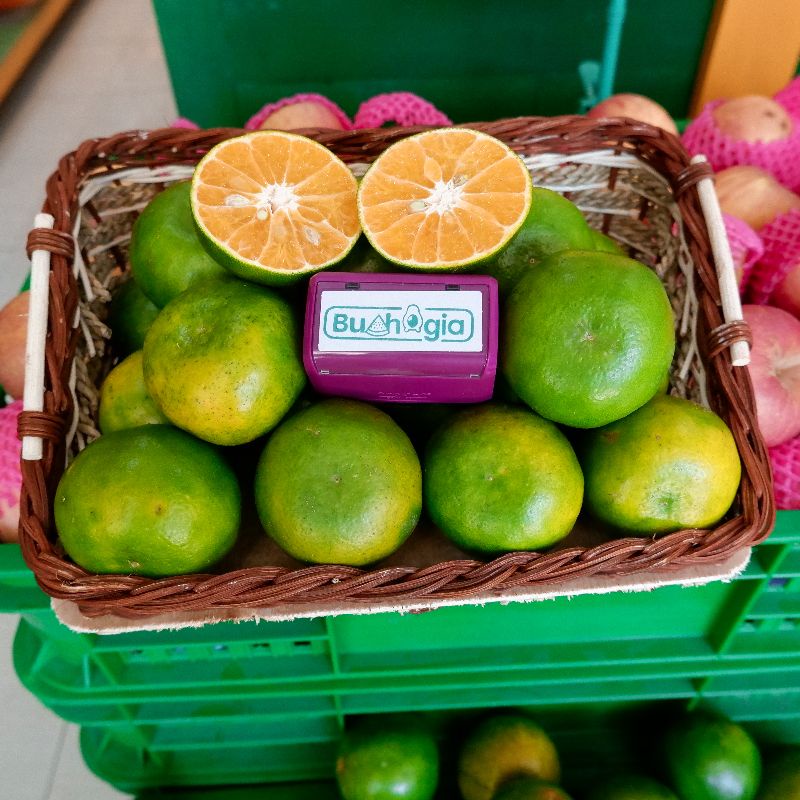 

Buah Jeruk Siam Banyuwangi