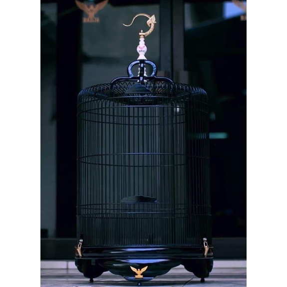 SANGKAR KANDANG MURAI RADJA BLACK JACK DM 58