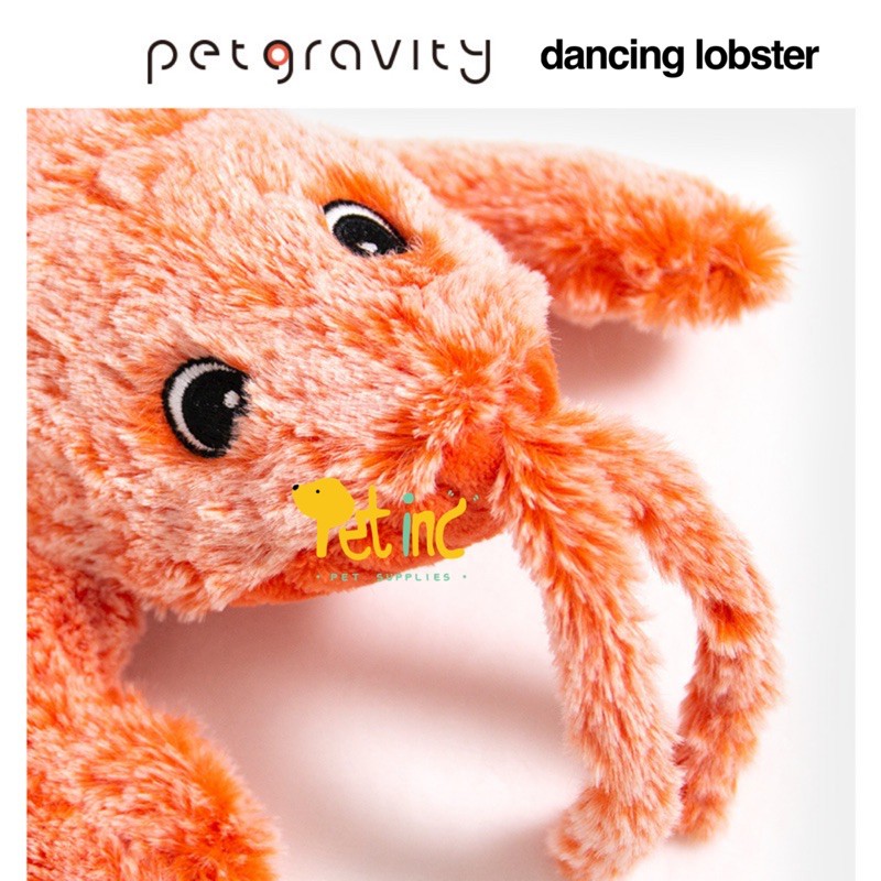 pet gravity dancing lobster