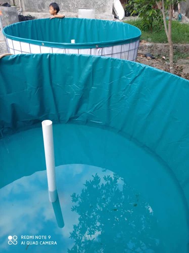 Terpal Saja D3 T1 + Ongkir Dakota Ke Pekalongan