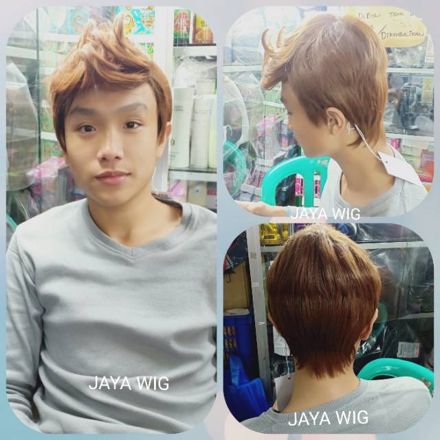 WIG COWOK/RAMBUT PALSU PRIA/WIG PRIA