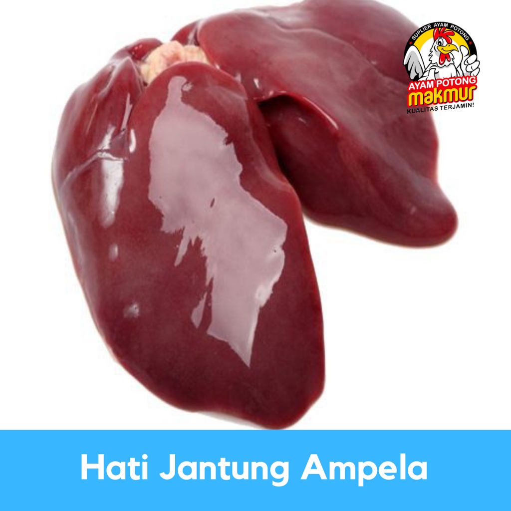 

Hati Ampela Jantung Bersih