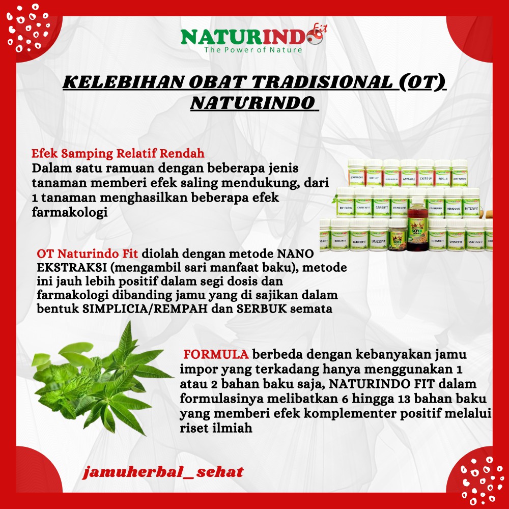 Obat Maag Asam Lambung Kronis Gerd Mual Gangguan Pencernaan Ampuh Herbal Jamu Mucosafit Naturindo-2