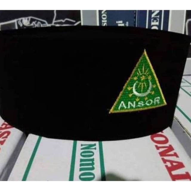 PECI ANSOR BORDIR ANSOR IPNU PECI PMII