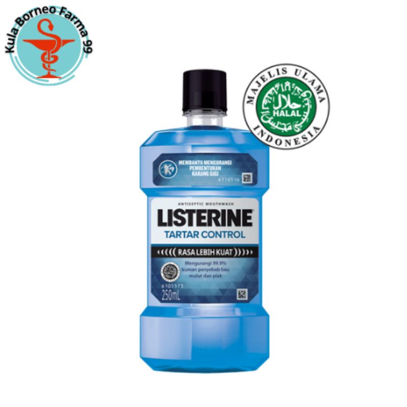 Listerine Tar Tar Control Antiseptic Mouthwash/ Obat Kumur 250 ml