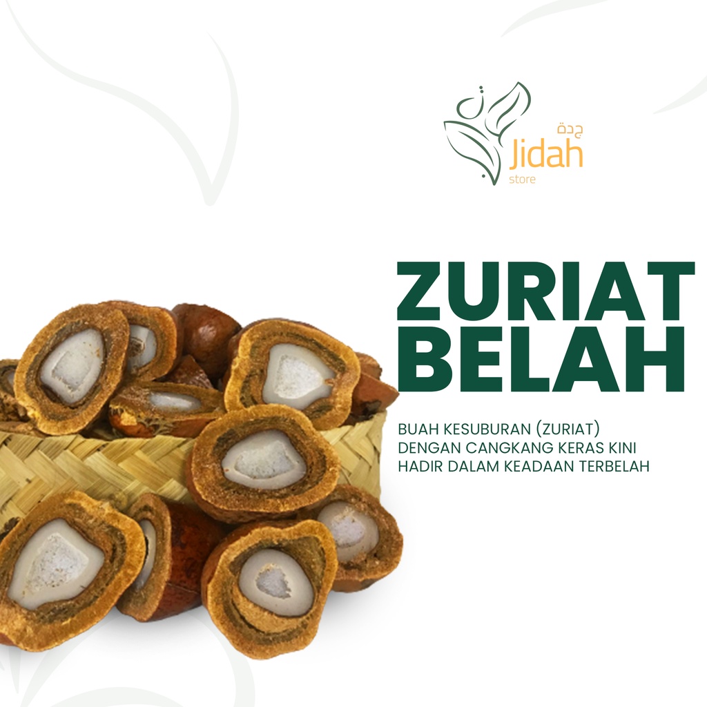 Buah Zuriat Mesir Belah Doum Belah Promil Asli Siap Konsumsi Original buah program hamil cepat alami dan ampuh sempurnakan ikhtiar buah kesuburan zuriyat