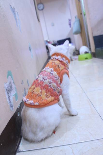 Baju rajut warna orange untuk kucing dan anjing / baju kucing murah size S M L XL