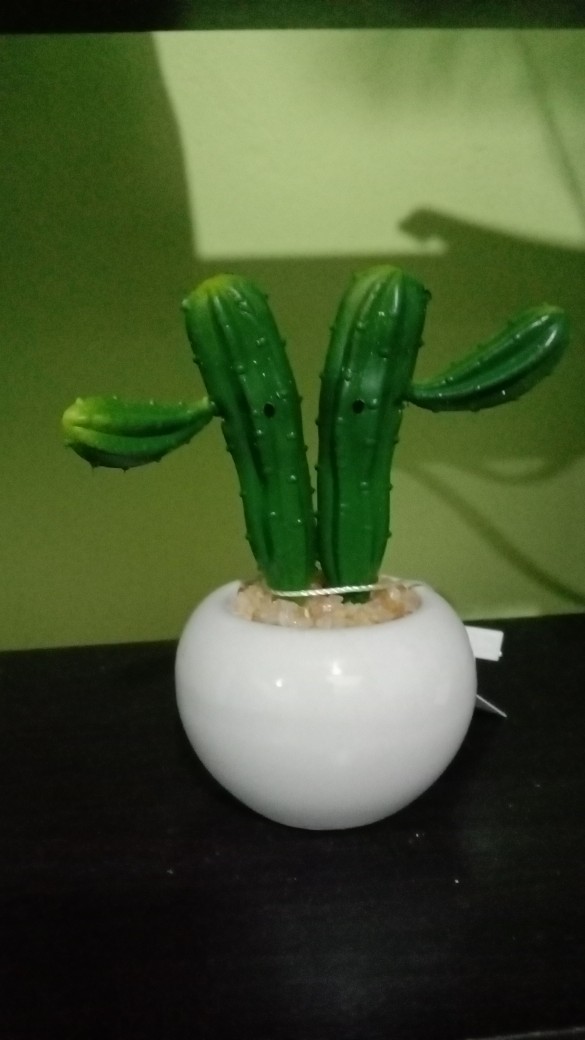 Homes Mystery Box (1 Jenis Produk)