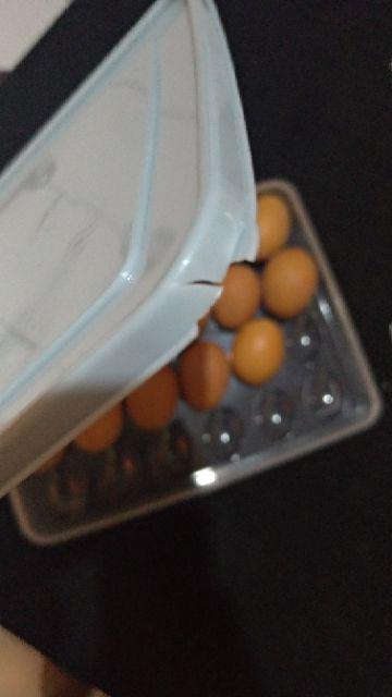 Kotak Telur / Tempat Telur / Box Telur / Rak Telor / Tempat Telor Ayam [ Isi 24 Pcs]
