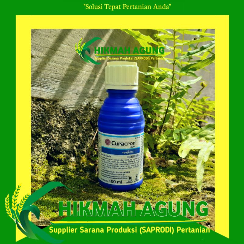 

Curacron 500 EC 100 ML (Insektisida) - Syngenta