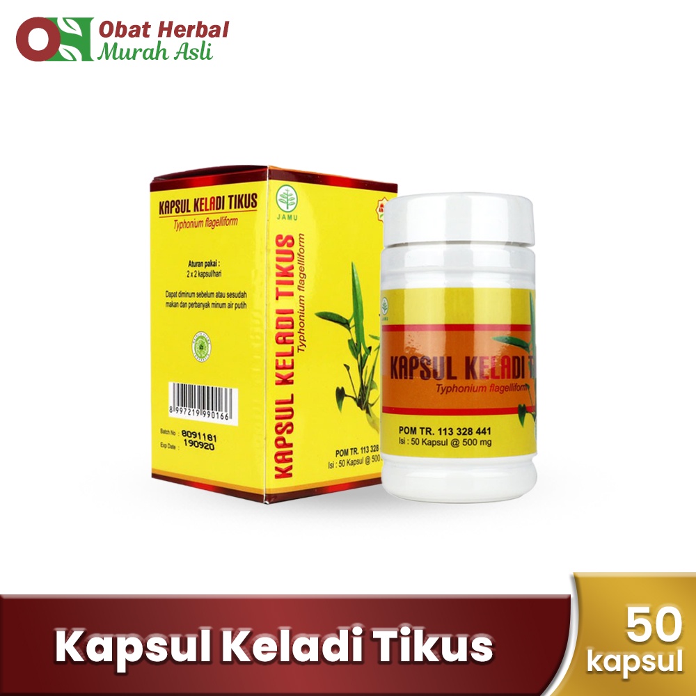 Obat Herbal Nyeri Haid Keladi Tikus Griya An-nur Isi 50 Kapsul