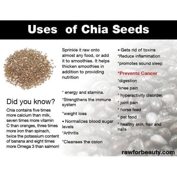 

CHIA SEED ECERAN HARGA MURAH AGEN DISTRIBUTOR