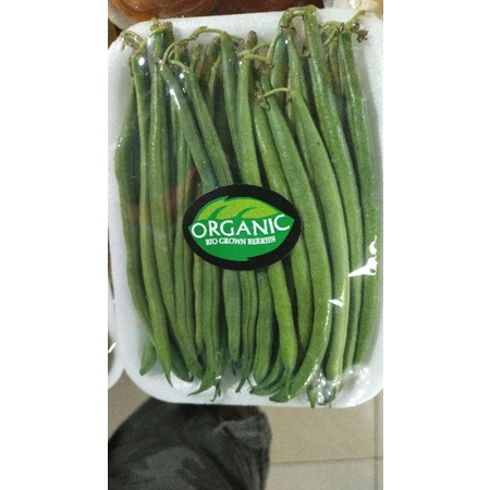 

Buncis Kenya Organic
