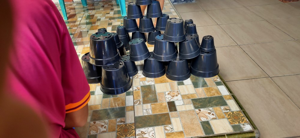 7 Cm Pot Bunga Plastik 7 Cm Pot Es Krim Plastik Baru Pot Hidroponikpot Bunga Plastik Pot Es Krim