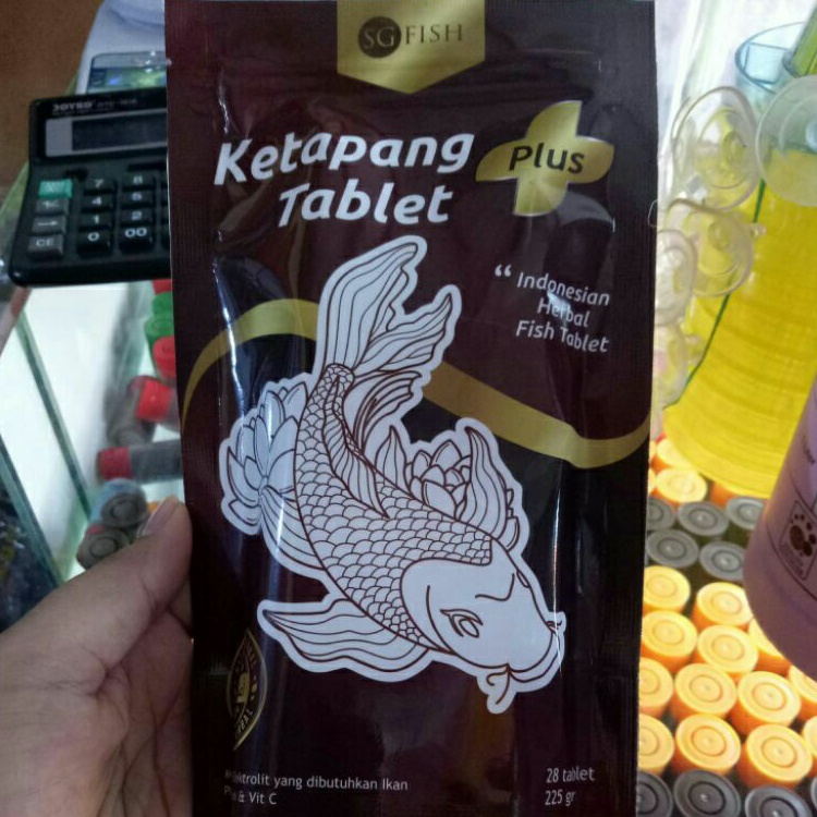 ketapang tablet by SG FISH