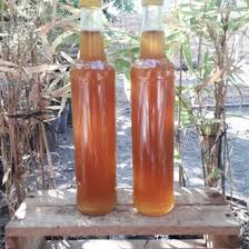 

Madu Asli Kalimantan Tengah Madu Hutan atau Ternak 250ml