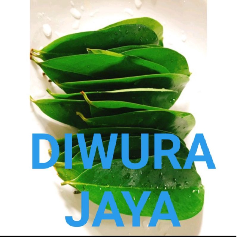 

DAUN SIRSAK GODONG NANGKASABRANG HERBAL LANGSUNG PETIK DARI POHON