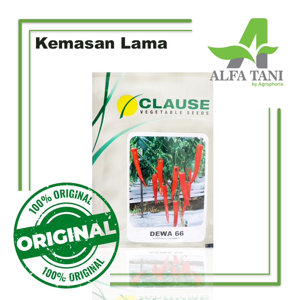 Benih Cabai Merah Besar Dewa 66 10 gram / Cabai Besar dan Lebat / CLAUSE