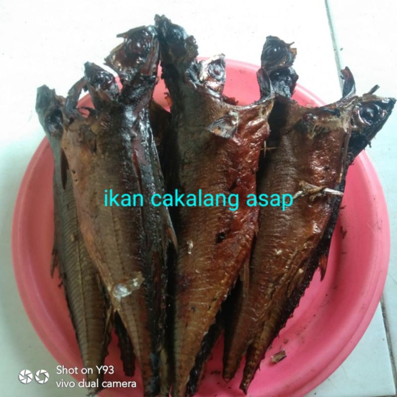 

ikan asap cakalang 500grm