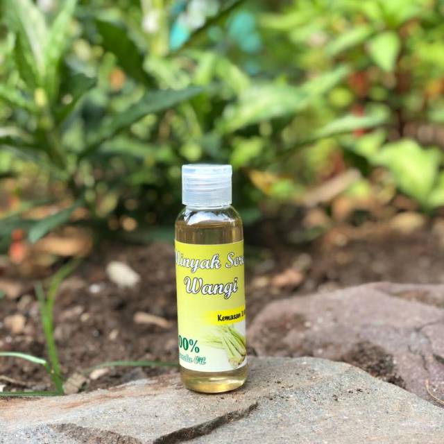 Jual Minyak Sereh Wangi ( Citronella Oil ) Murni 100 Ml Indonesia ...