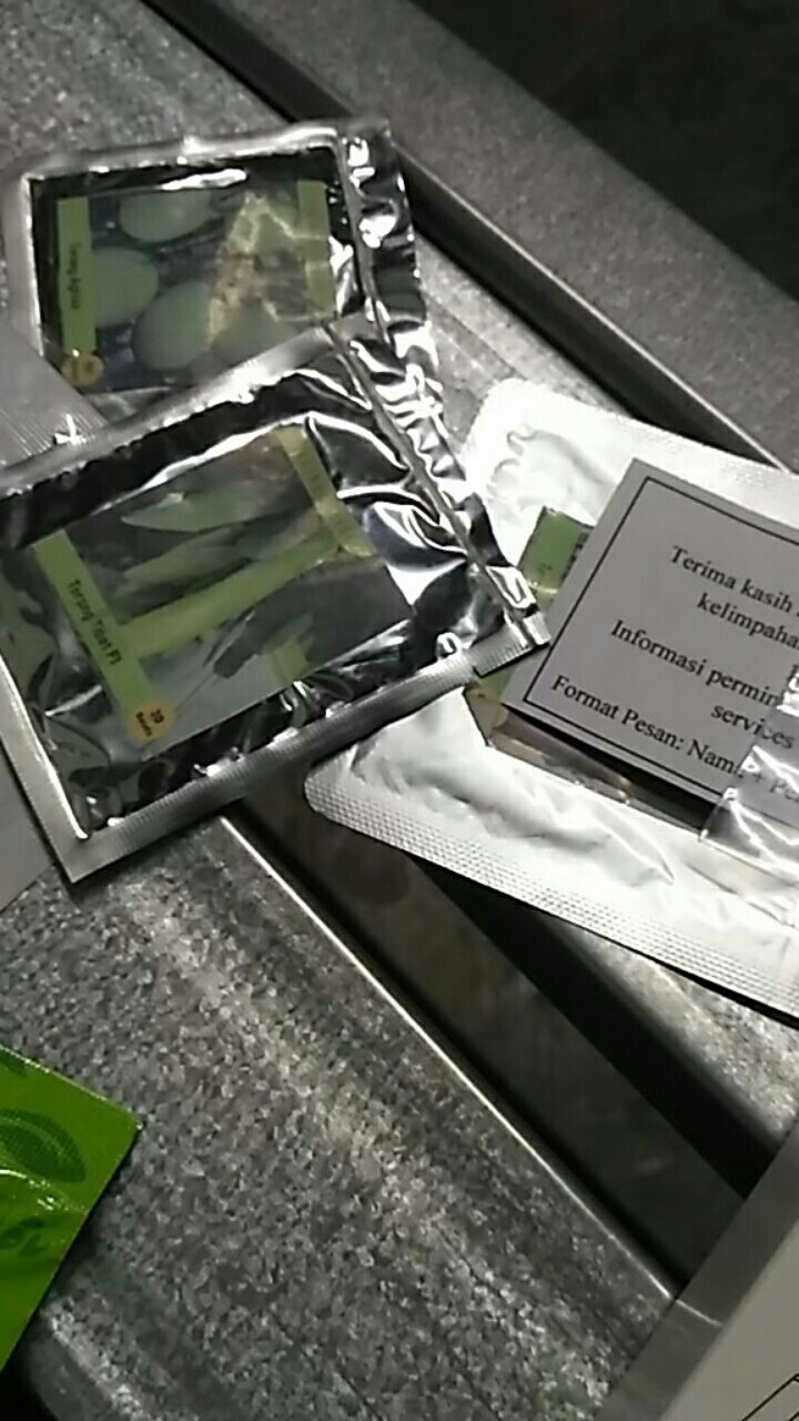 Benih Bibit Biji Terong Torino Ungu Panjang Kemasan Alumunium Foil