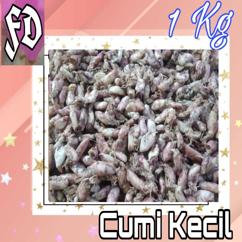 

ikan asin cumi bebi