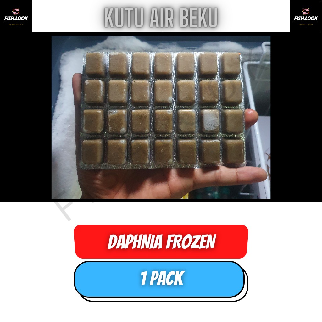 Kutu Air Beku - Frozen Daphnia GOSEND / GRAB ONLY