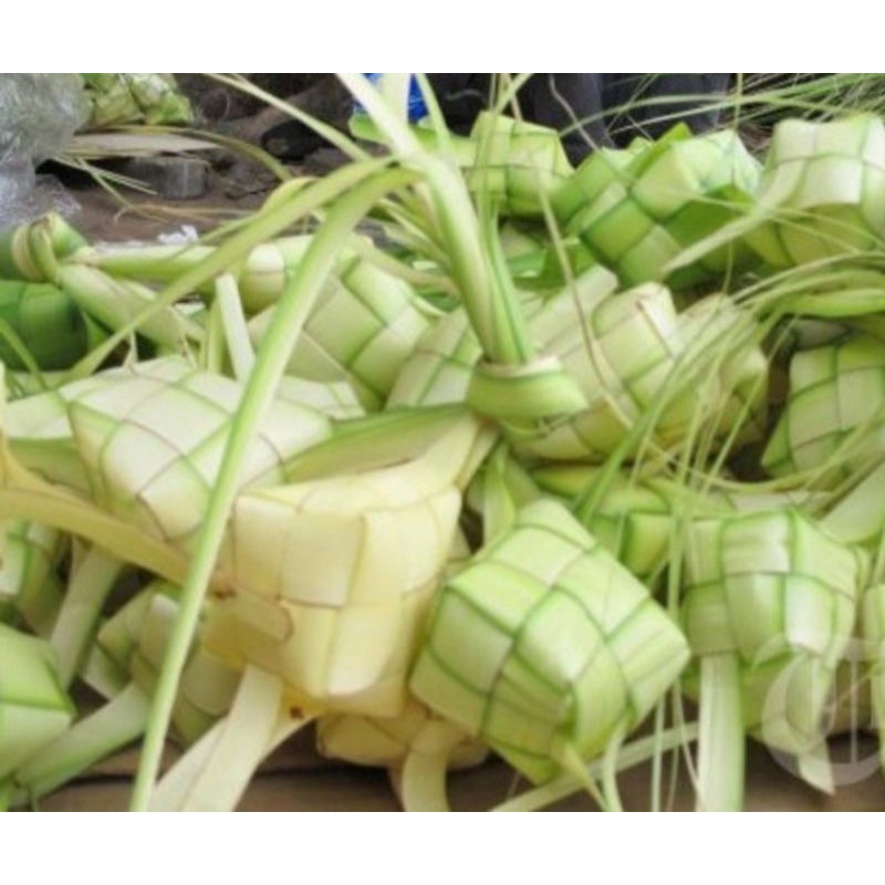 Kulit Ketupat Lebaran - Paket 10 Buah Kulit Ketupat Segar - Ketupat