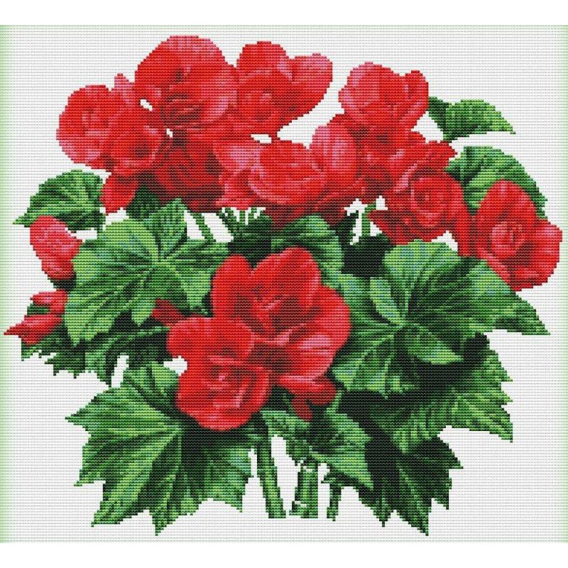 Paket Kristik Bunga Begonia Lengkap