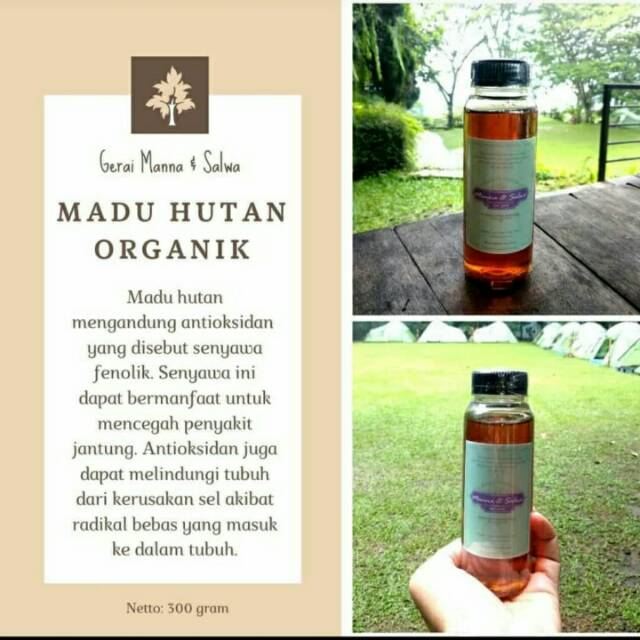 

Madu hutan organik best seller