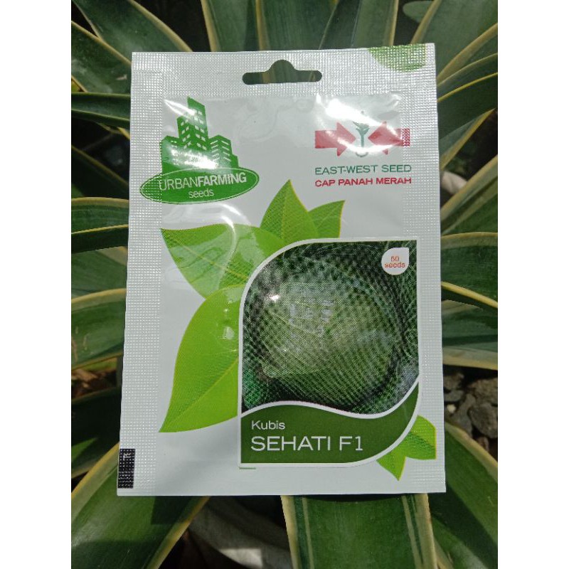 50 Benih Kubis Sehati F1 Cap Panah Merah