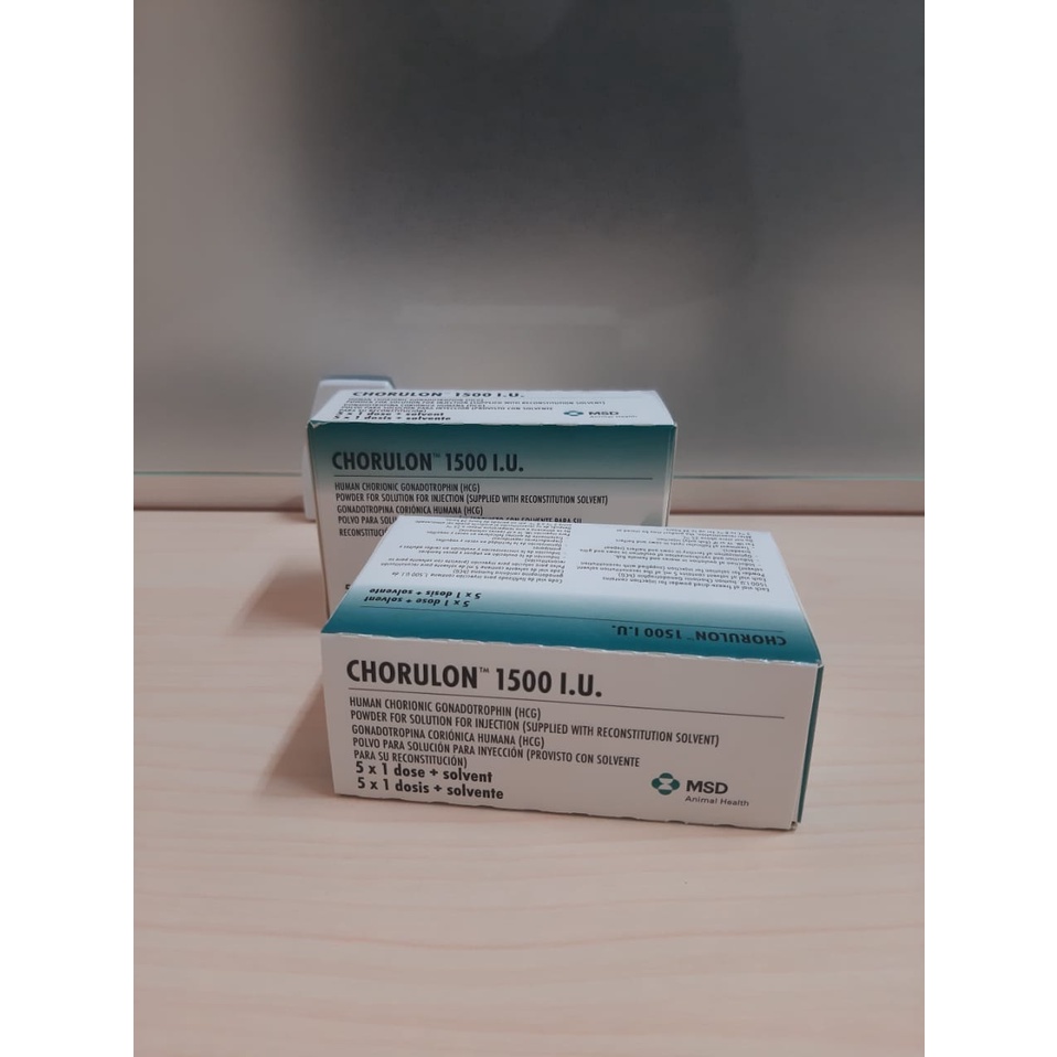 CHORULON 5 x 1500 IU INTERVET BY SMS OBAT PEMIJAHAN IKAN