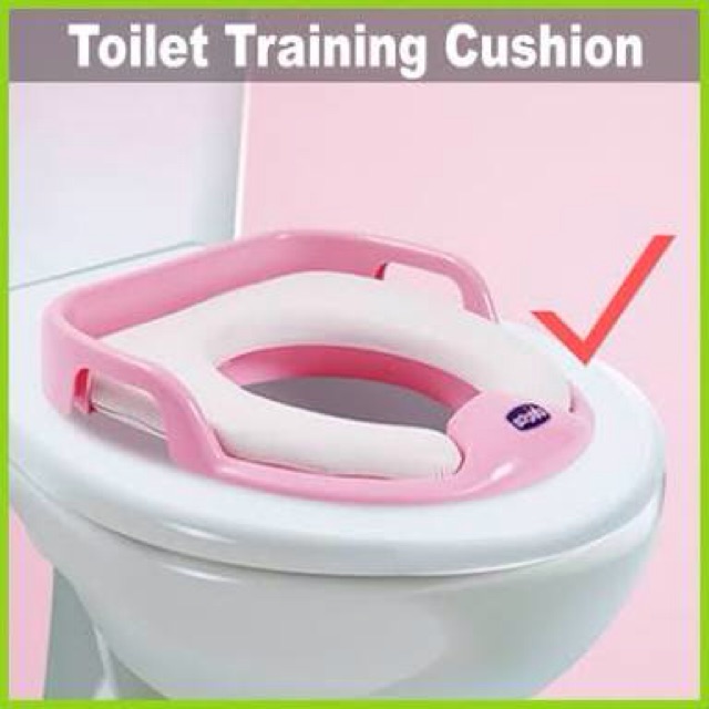 Potty training chicco pink dan Biru
