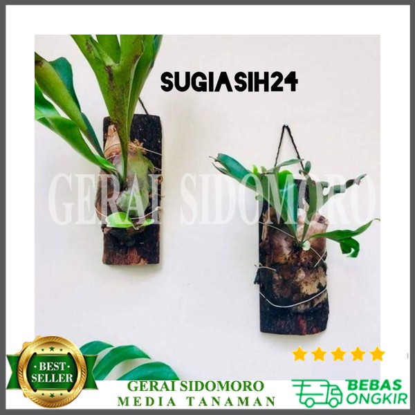 

Papan tempel media tempel gerai Recommended Seller