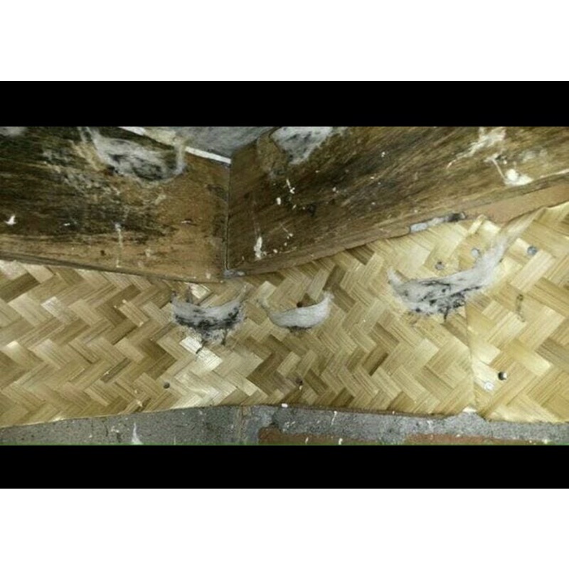 Besek Walet 20 cm x 1 meter / Besek bambu walet / pelapis sirip walet / papan sirip walet / sarang w