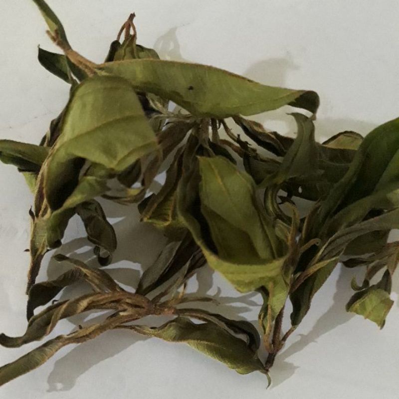 

TEH HIJAU DAUN SENGGANI BERKHASIAT