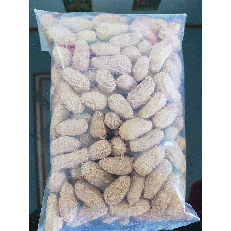 

Kacang Kulit Sangrai