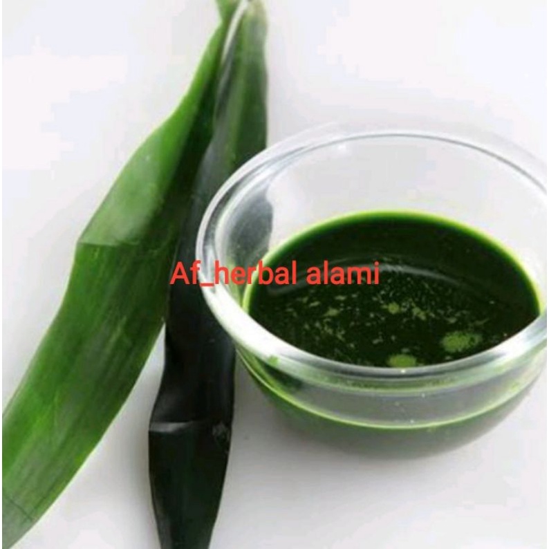 

DAUN SUJI (per ikat)