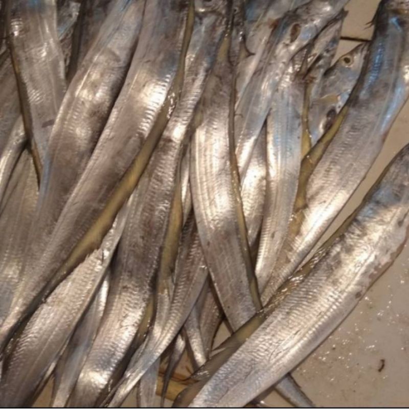 

jual ikan layur segar per 500gram